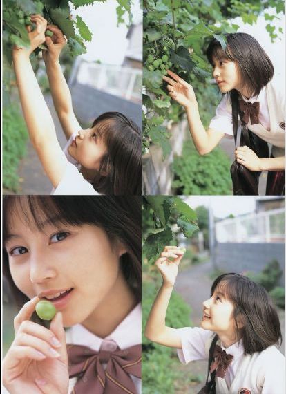 野兽的战争在线观看_4K在线观看高清
