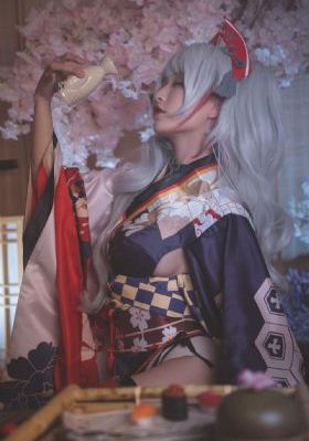 少年讼师纪晓岚_1080P免费观看最新